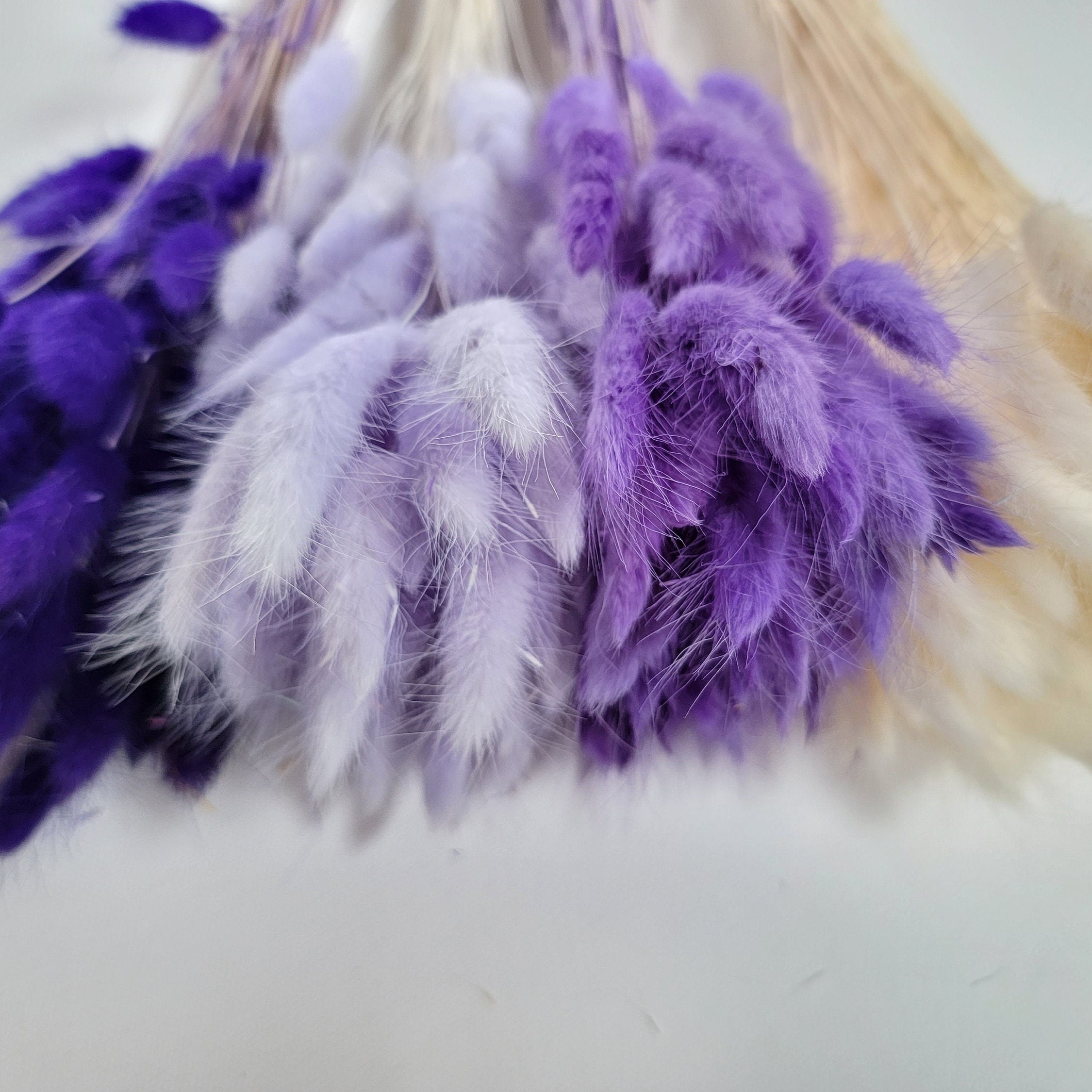 Purple Dried Bunny Tail Grass Stems: Boho Wedding Decor