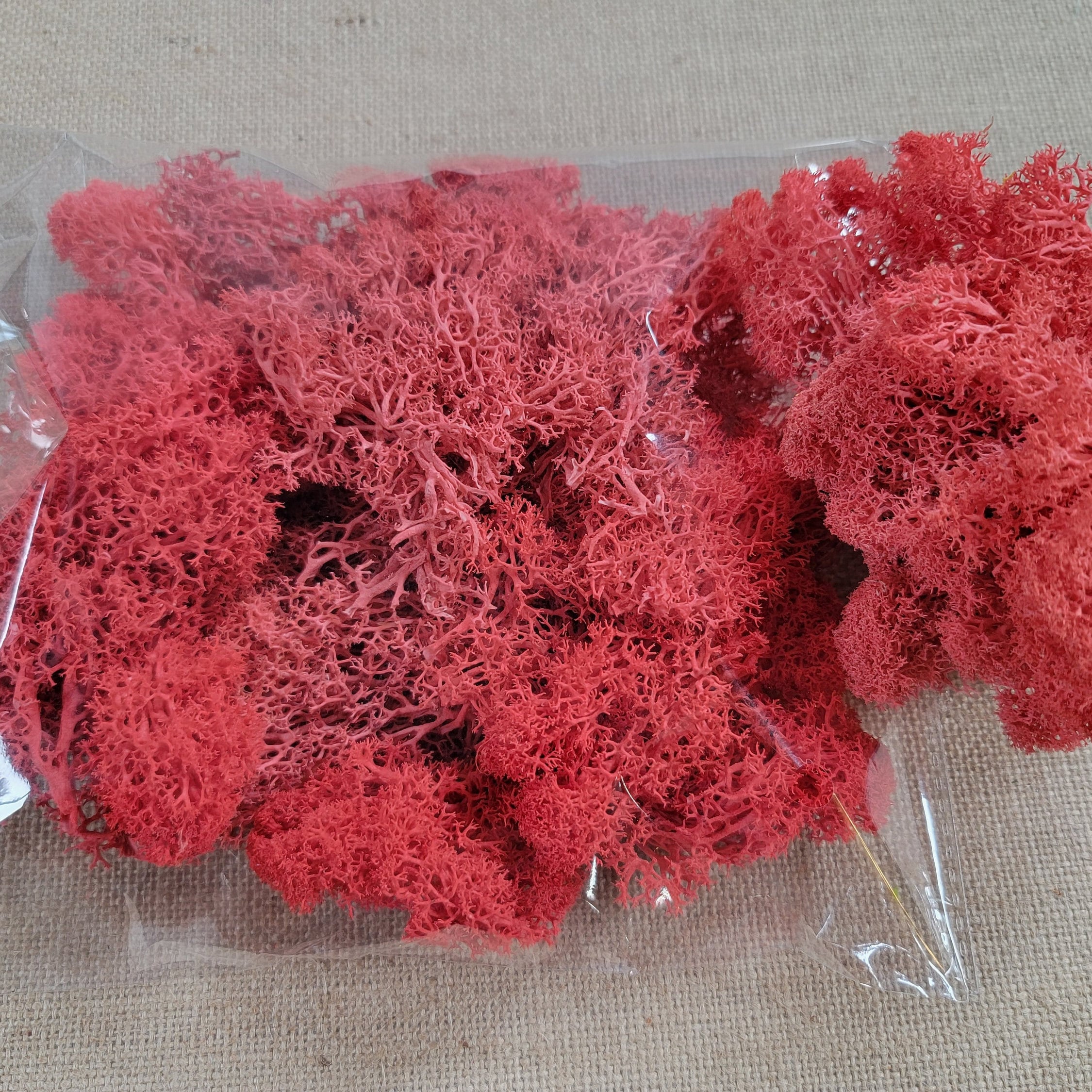 Preserved Reindeer Moss: 6 Color Terrarium Moss