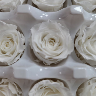 21 White Preserved Roses: Natural Dried Flowers for Wedding Bouquet