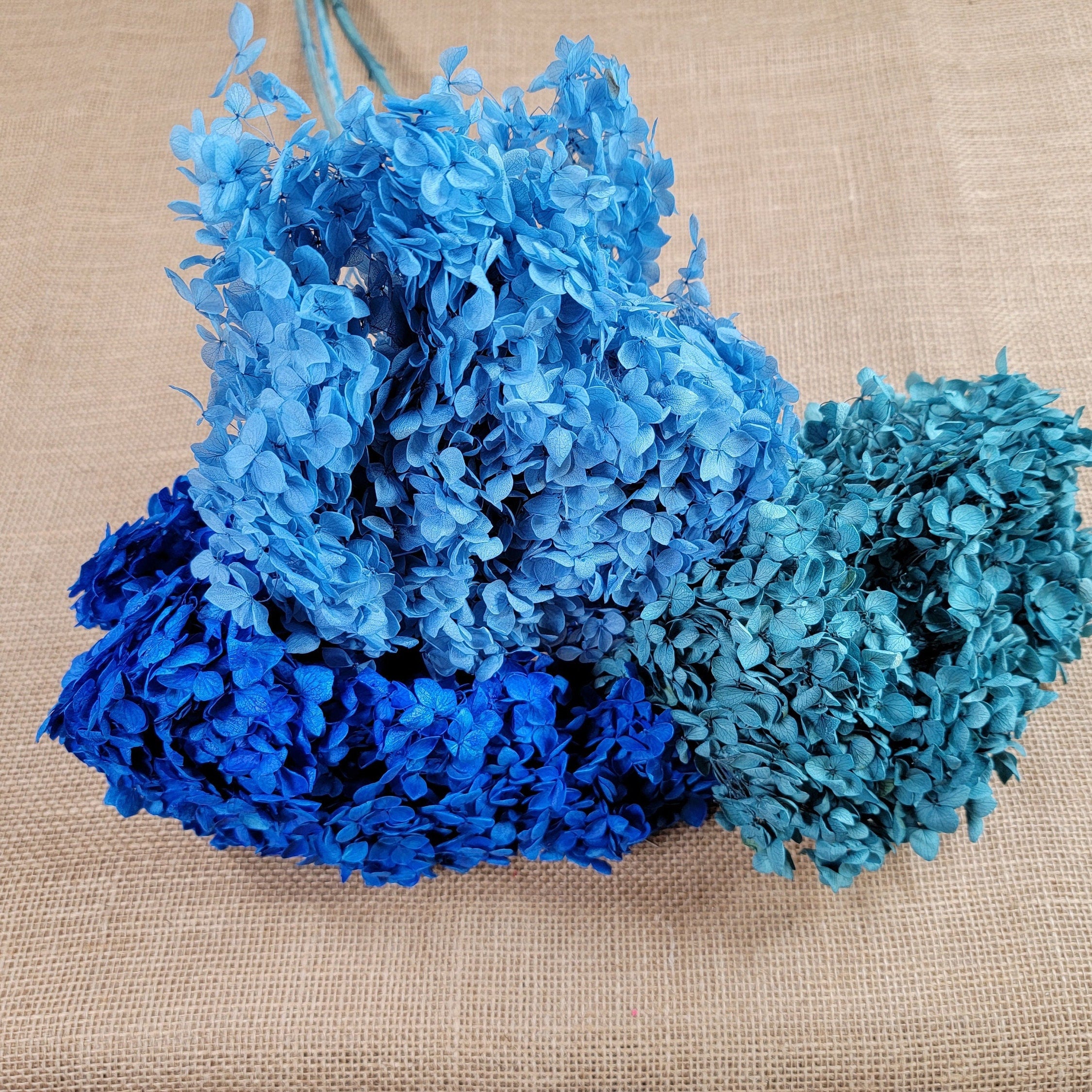 Blue Preserved Hydrangea: Real Dried Wedding Flowers