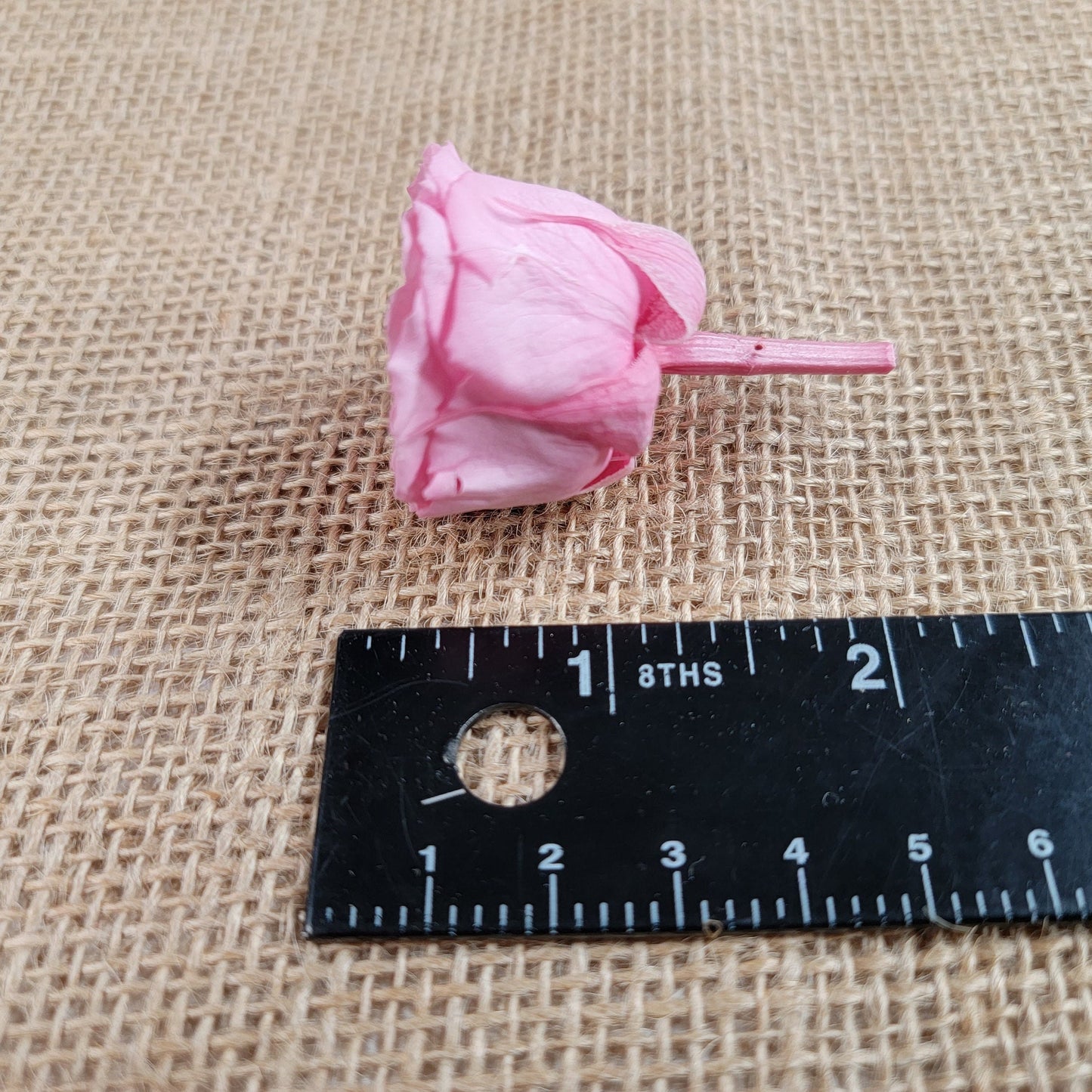 21 Preserved Roses Sweet Pink, Dried Flower / Prom, Mother's Day, Wedding Decor, Red Roses For Bouquet, Home Decor & DIY Floral Arrangements