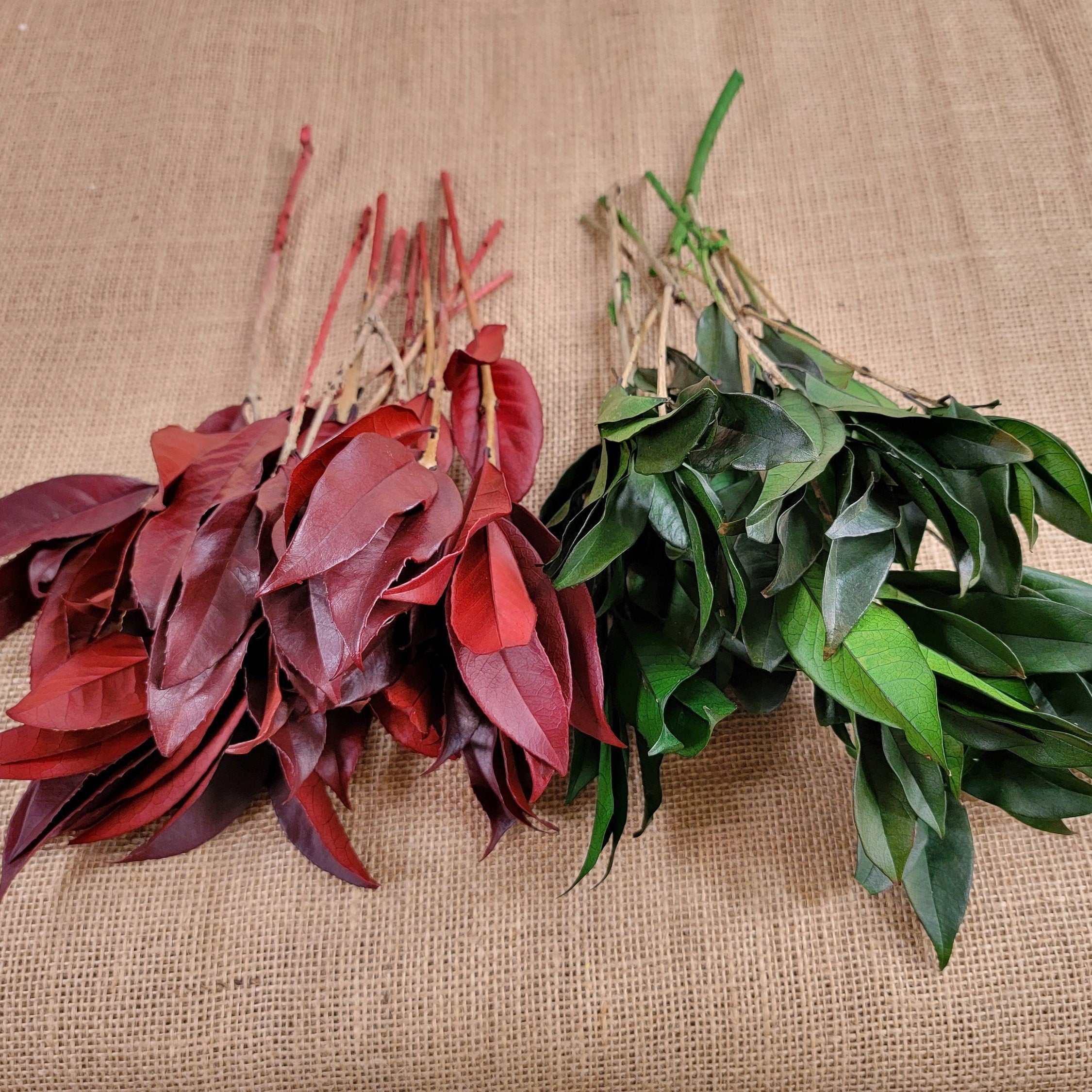 Preserved Osmanthus branches for Home flower arrangement and Garland decoration