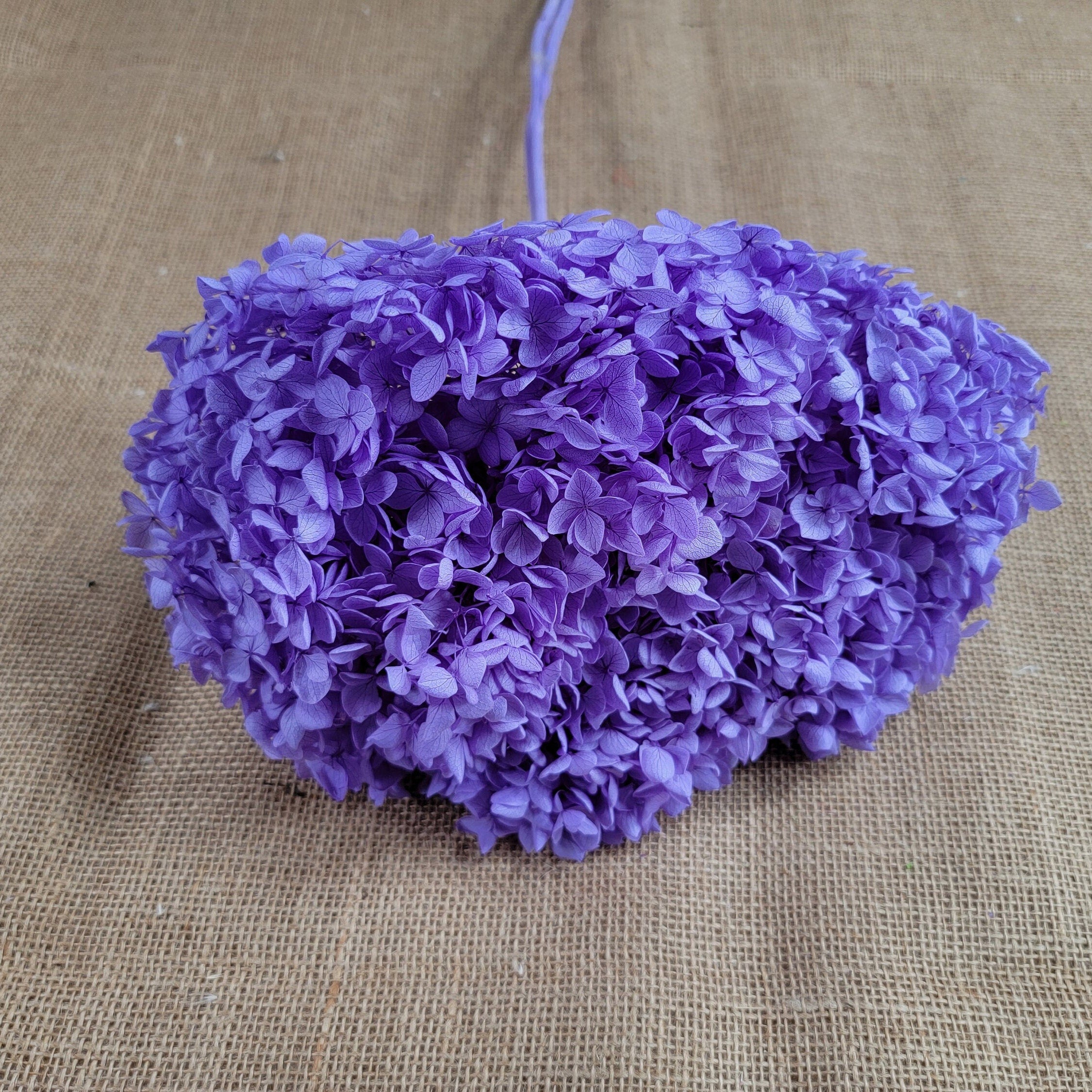 Violet Preserved Hydrangea: Real Dried Wedding Flowers