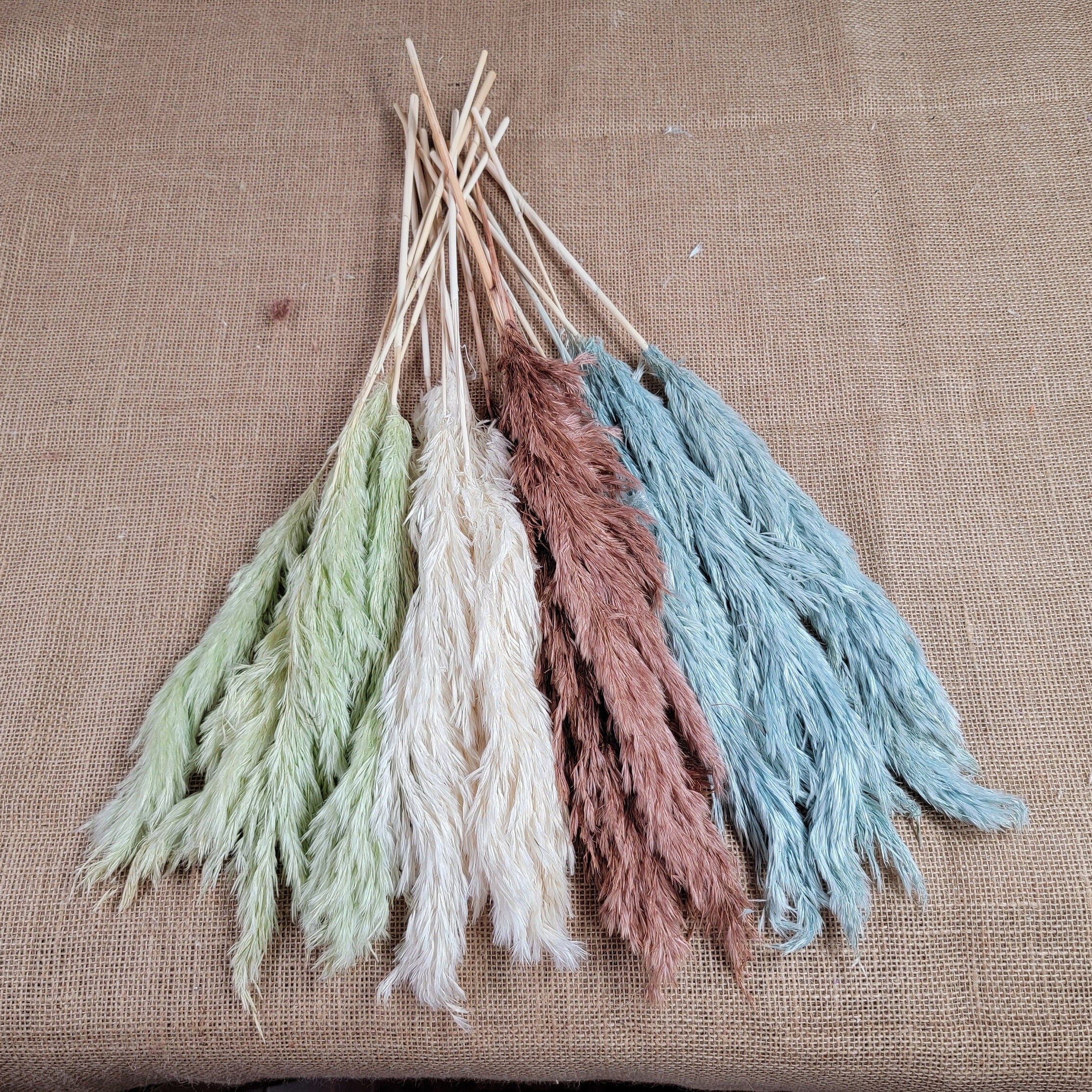 Dried Pampas Grass Bundle: Home Wedding Flower Arrangement