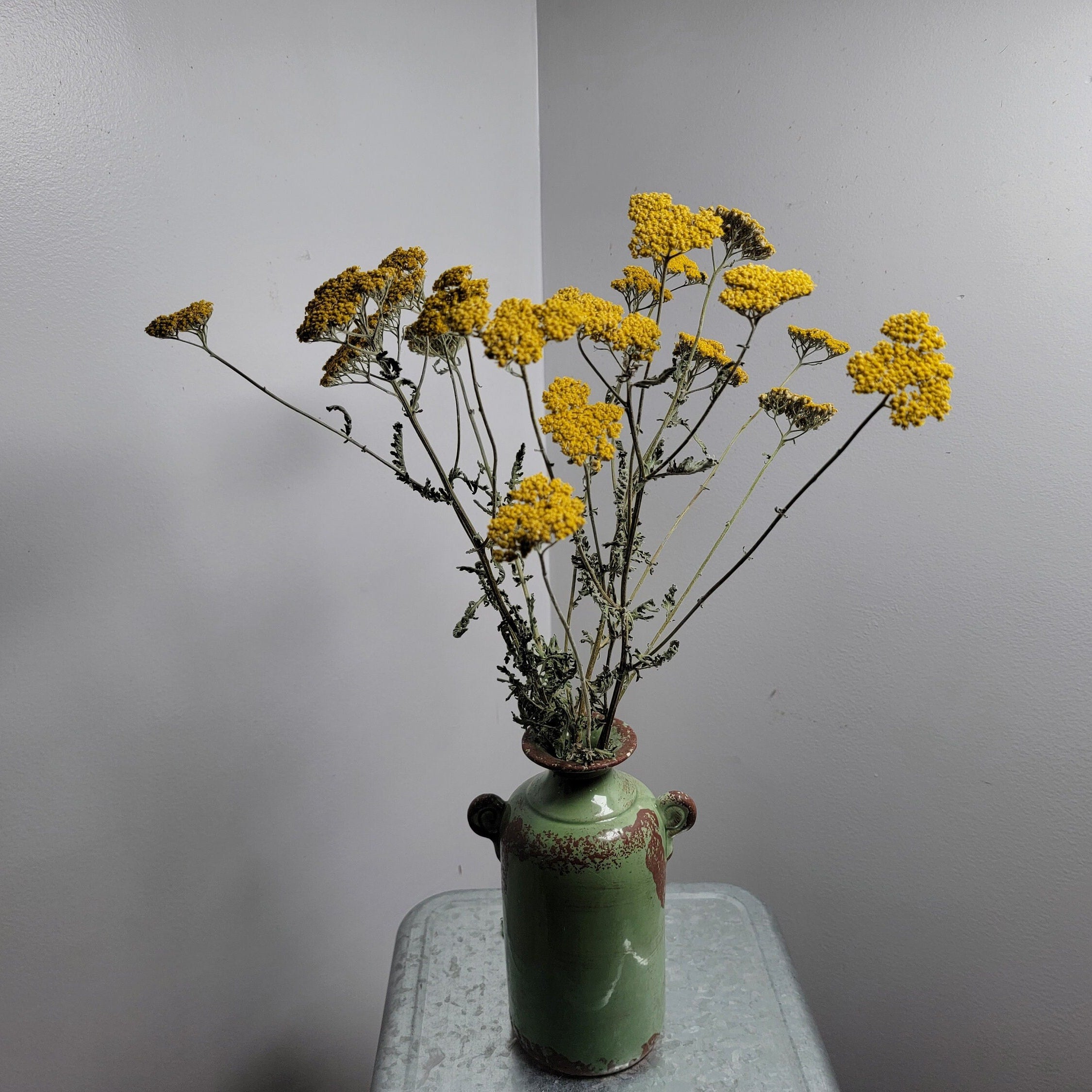 Dried Yellow Yarrow Bunch, Natural Floral Arrangement, Home Decor, 10 Stems