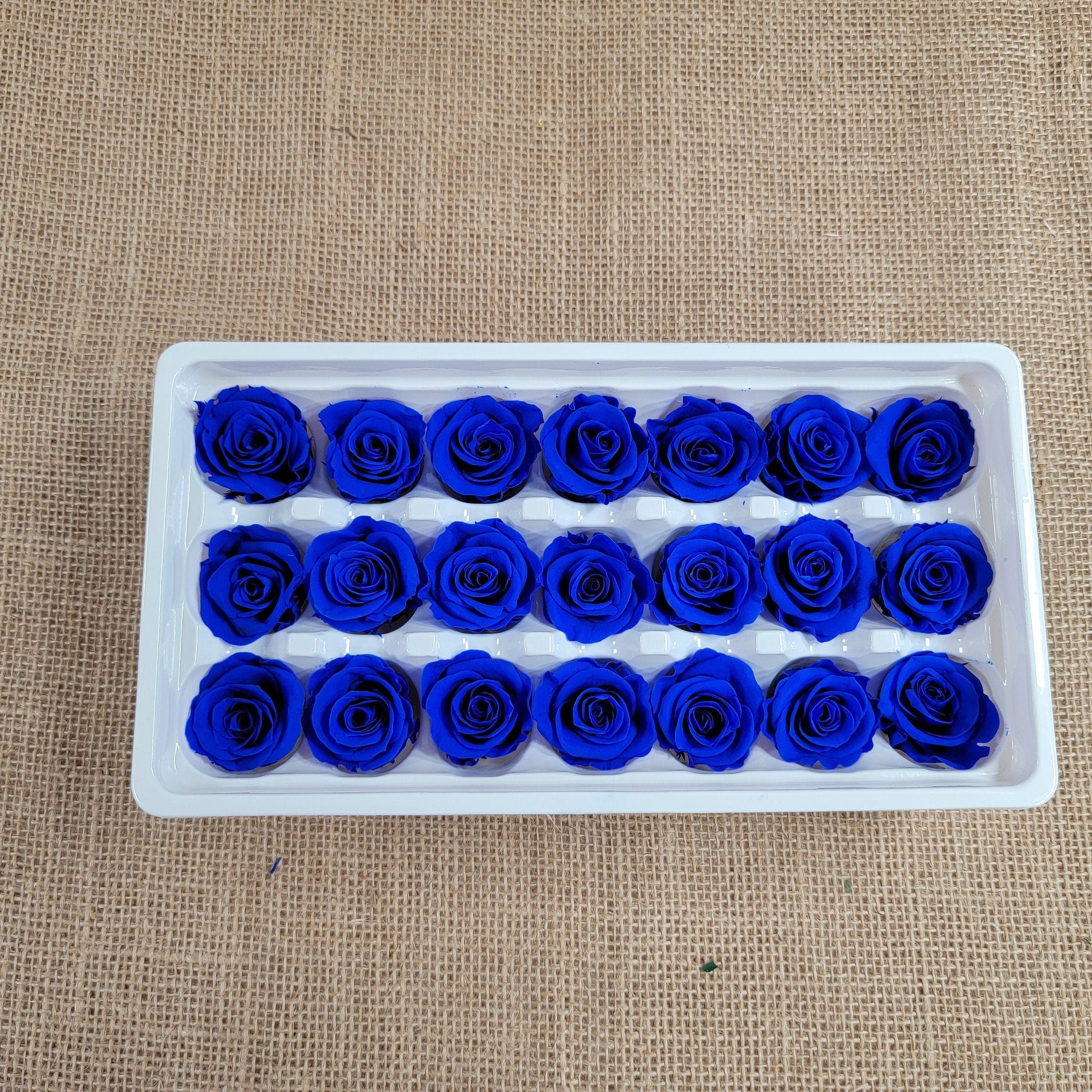Blue Preserved Roses: Wedding Bouquet, Prom Decor - 21 Pack