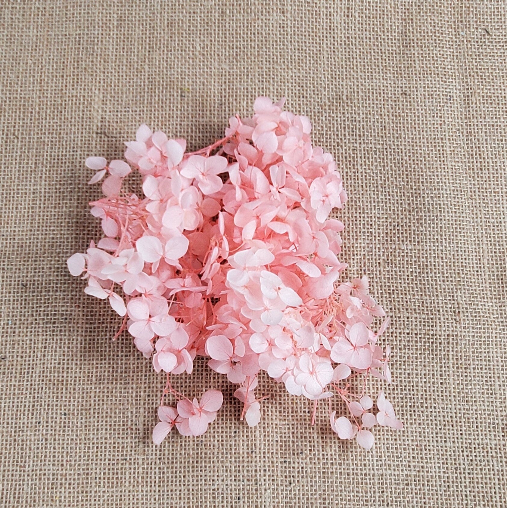 Preserved Hydrangeas: Colorful Dried Flowers, Wedding Home Decor