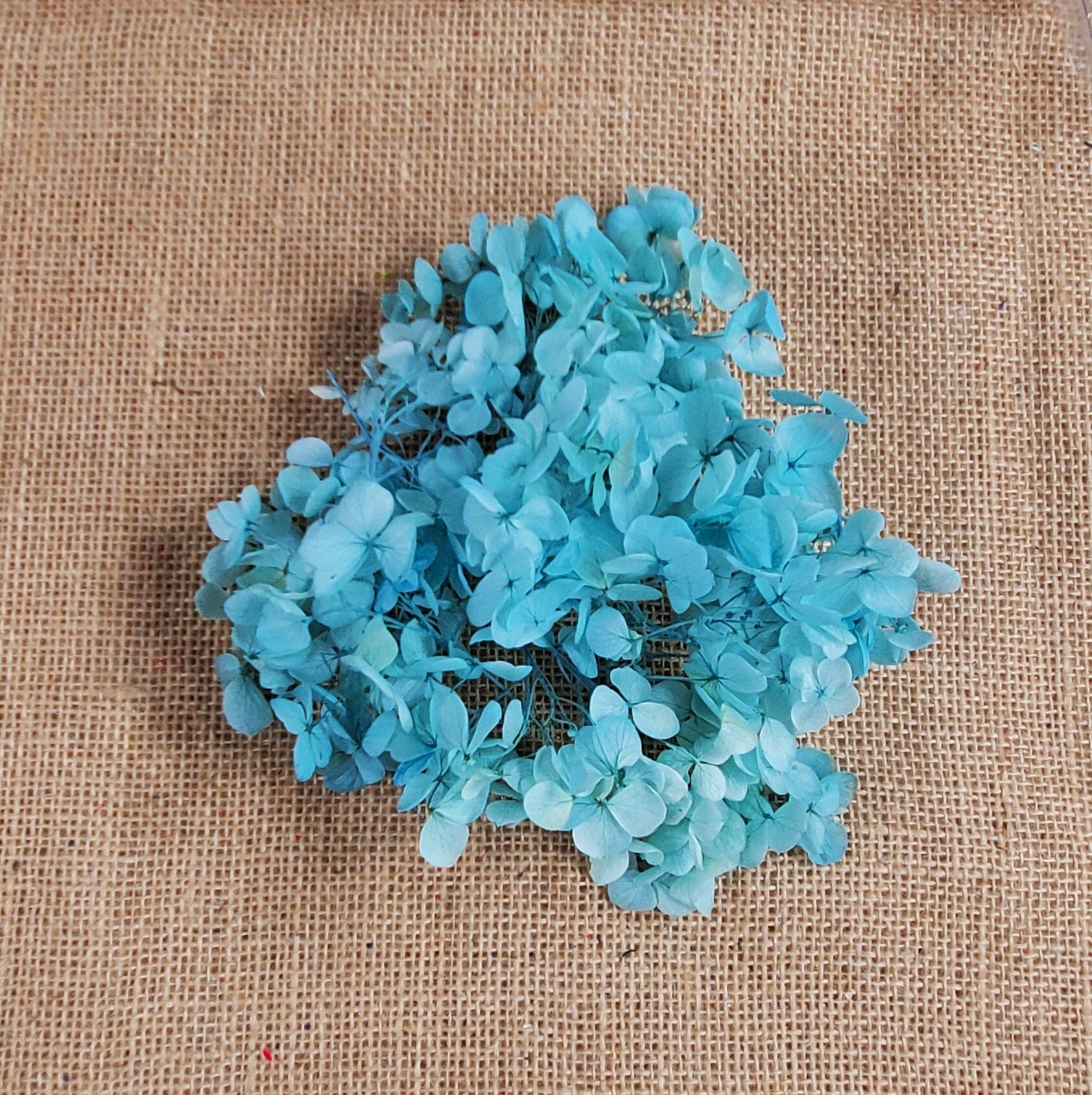 Preserved Hydrangeas: Colorful Dried Flowers, Wedding Home Decor