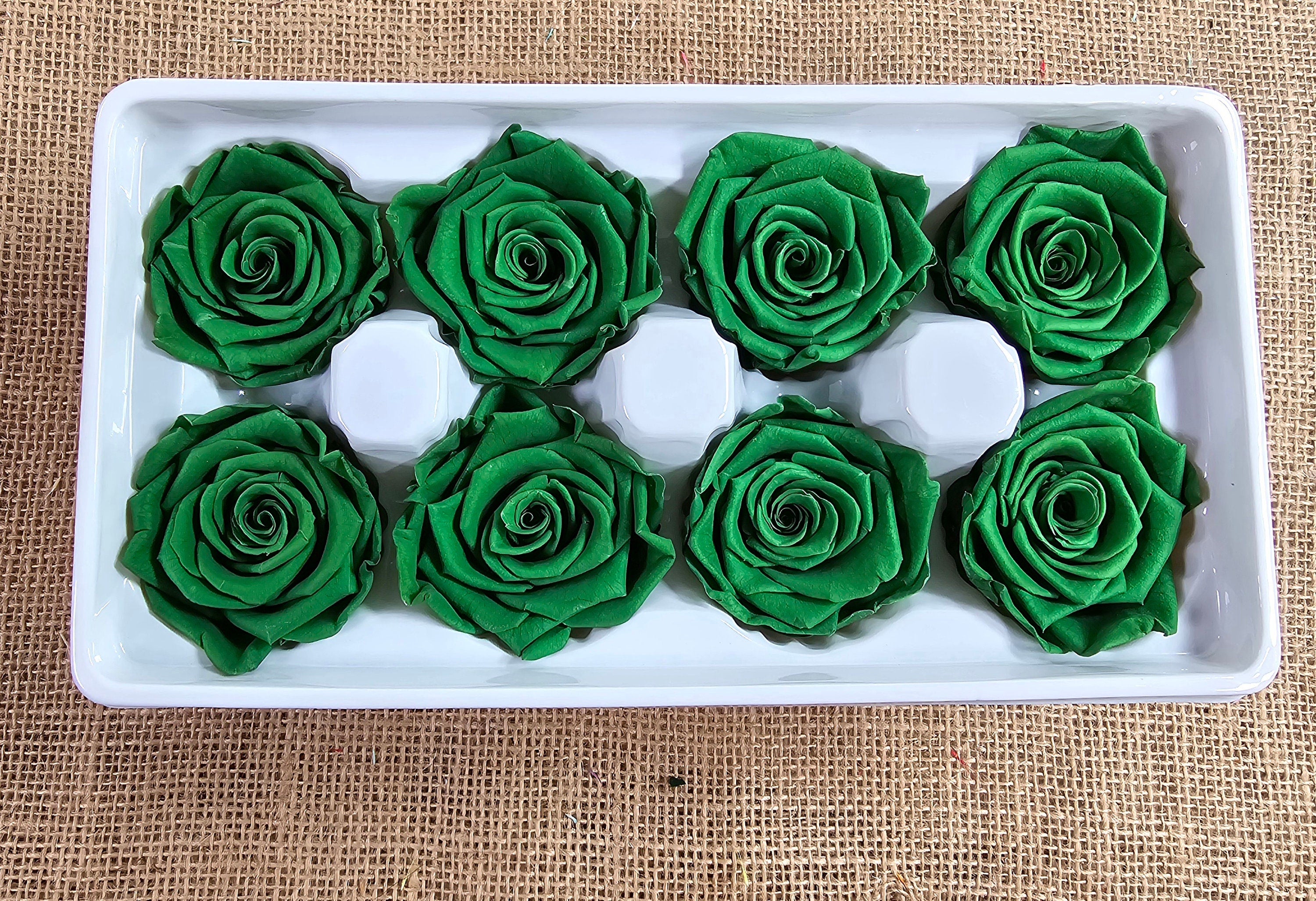 Dark Green Preserved Roses: Wedding Bouquet, Prom Decor - Set of 8