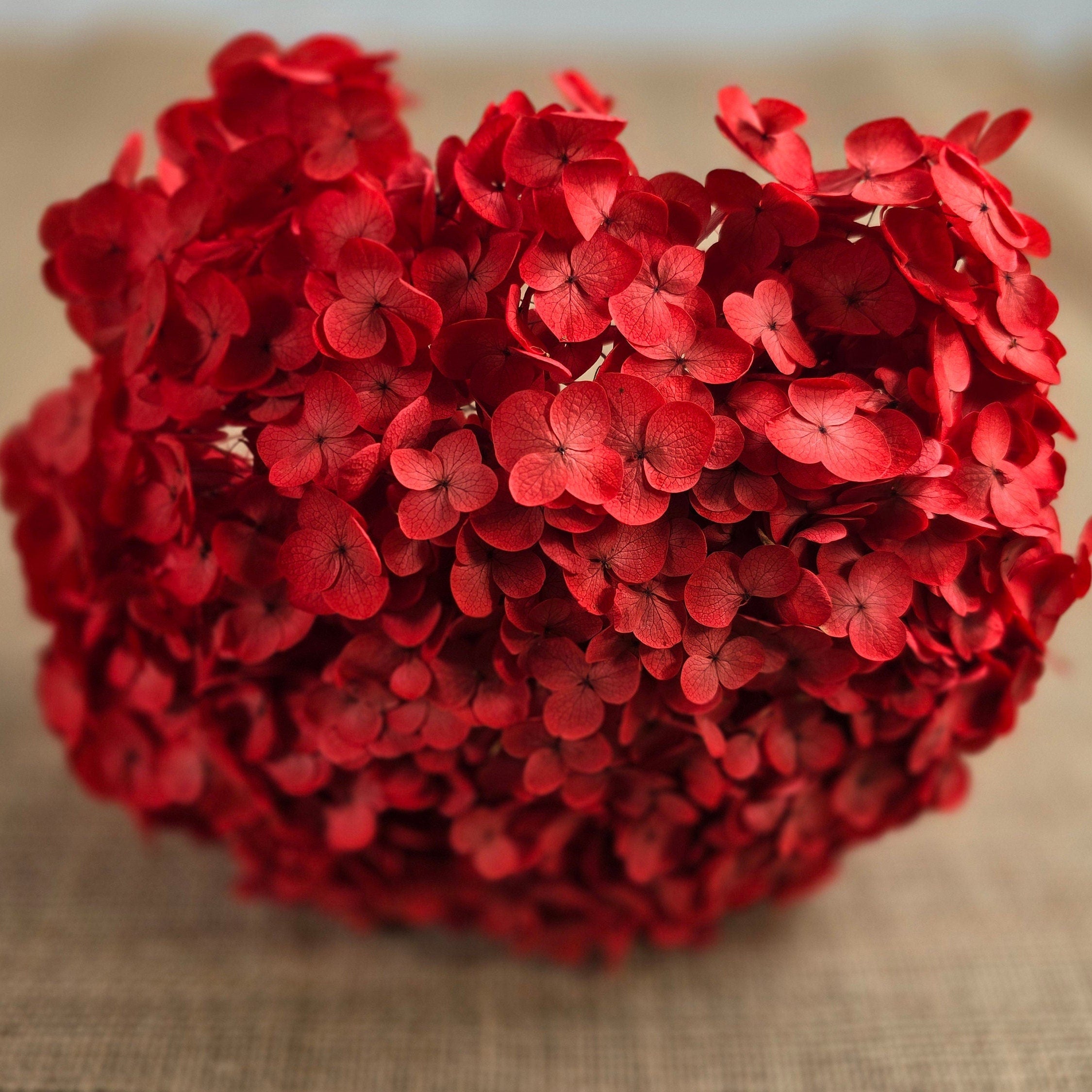 Red Preserved Hydrangea: Real Dried Wedding Flowers