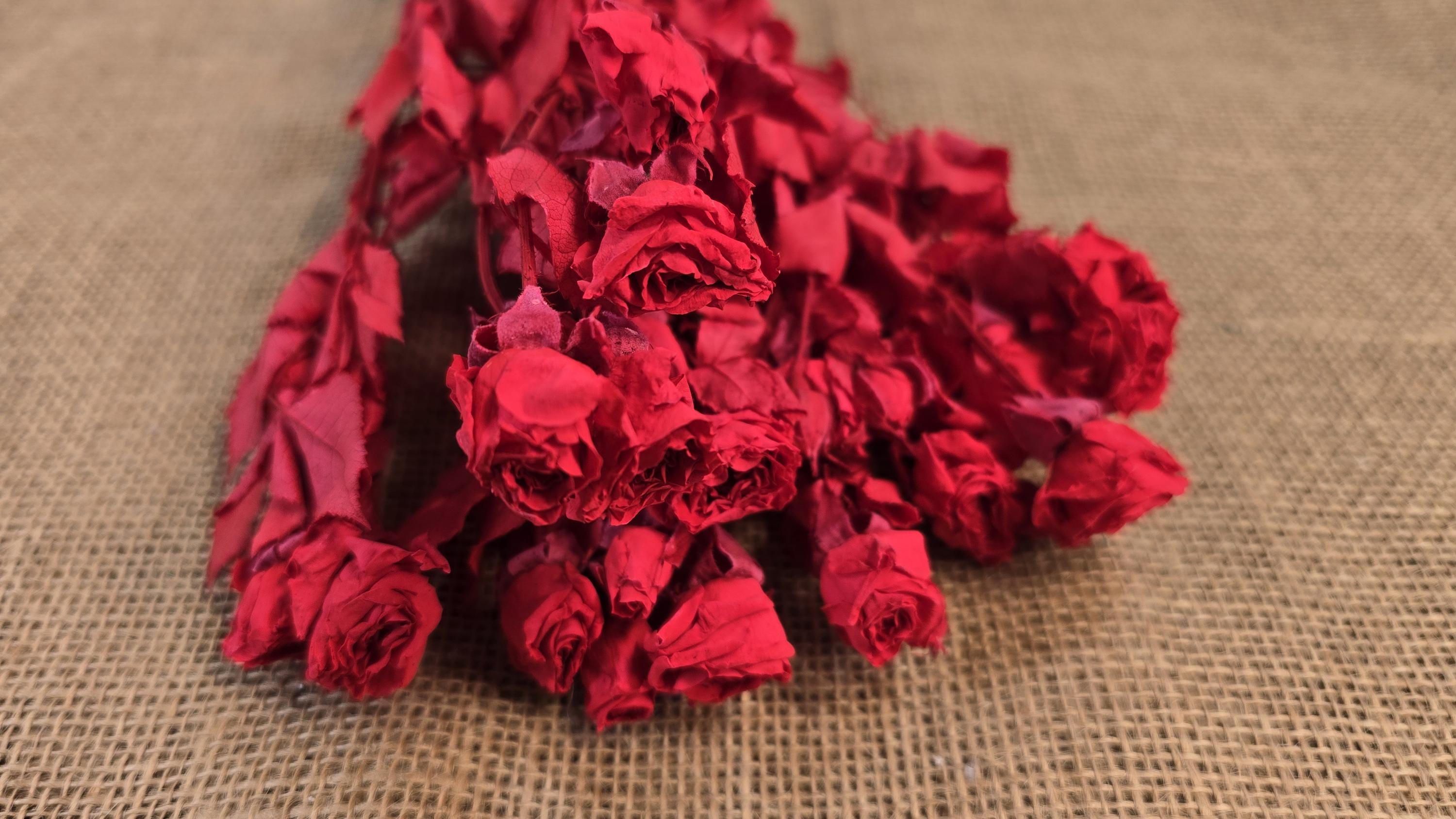 Preserved Roses with Stems: Bouquet & Wedding Decorations