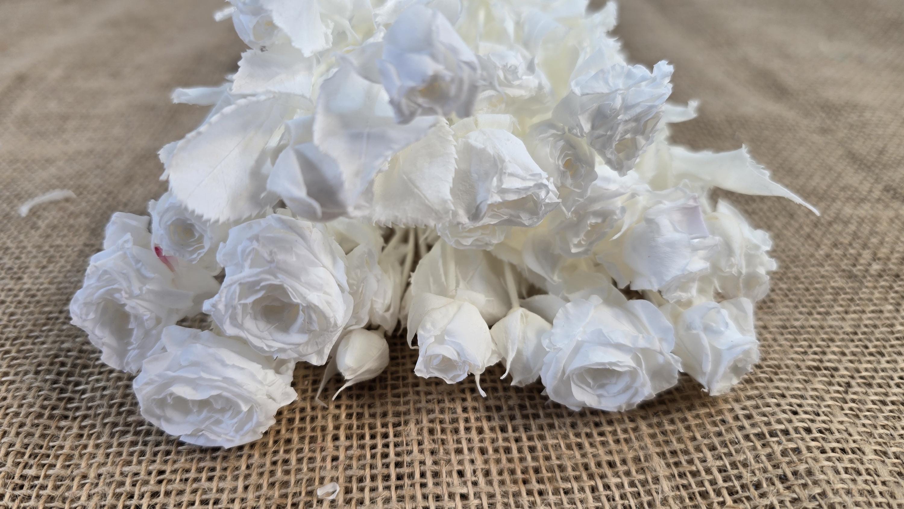Preserved Roses with Stems: Bouquet & Wedding Decorations