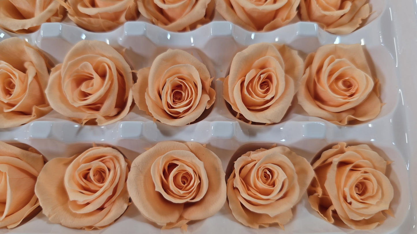21 Champagne Preserved Roses: Wedding Bouquet Flowers