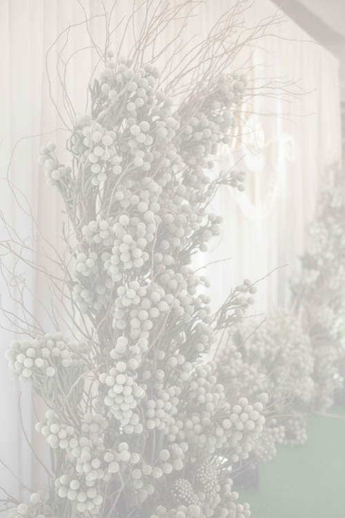 Event Backdrops - Light Overlay