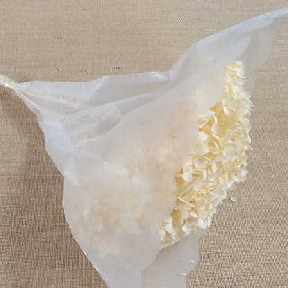 Beige Preserved Hydrangea: Real Dried Wedding Flowers