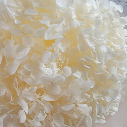 Preserved White Hydrangea: Real Dried Wedding Flowers