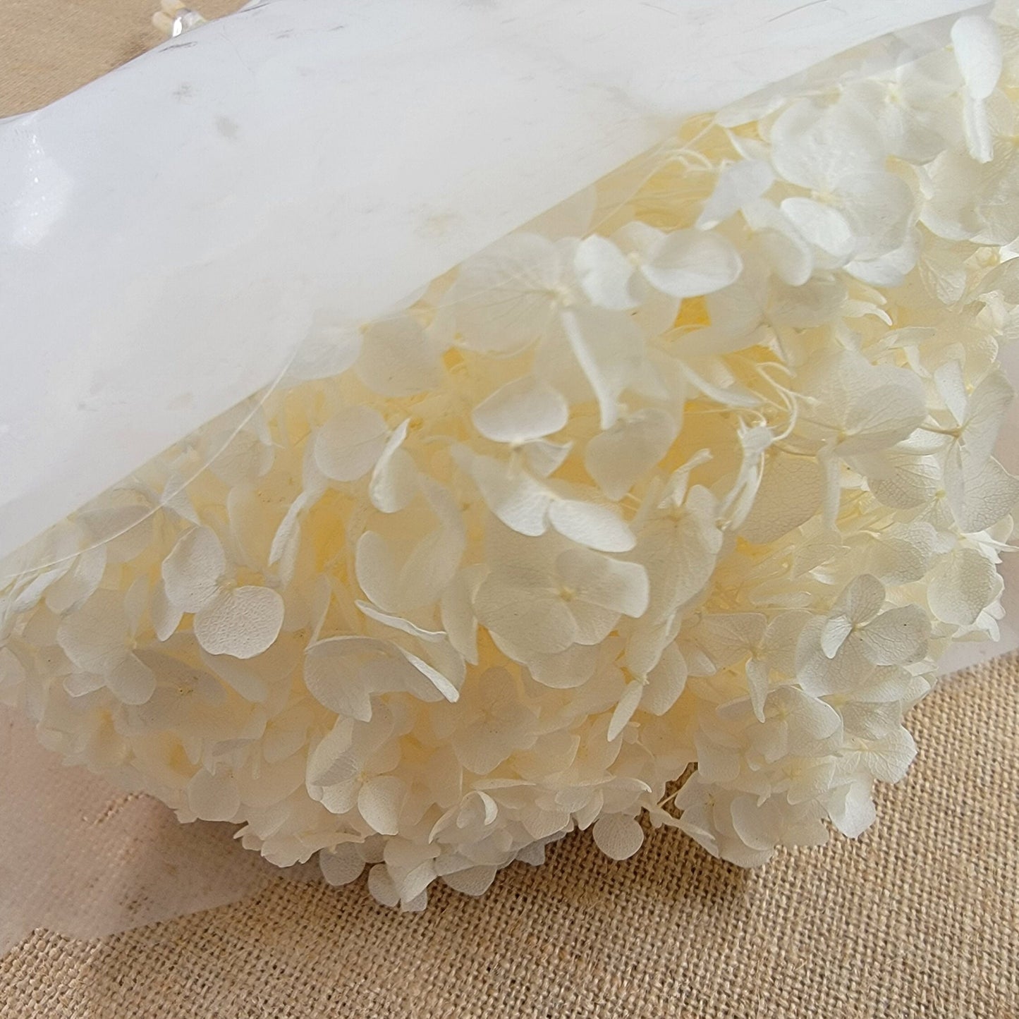 Preserved White Hydrangea: Real Dried Wedding Flowers