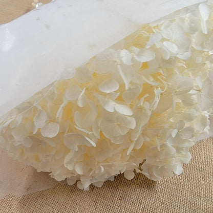 Preserved White Hydrangea: Real Dried Wedding Flowers