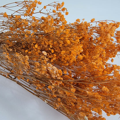 Orange Preserved Baby's Breath Bundle: Natural Gypsophila, Dried Flowers