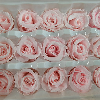 Preserved Roses - Natural Light Pink - For Prom, Christmas, Wedding - Dried Roses For Bouquet - Eternity Roses - Forever Roses - 21 Pack,