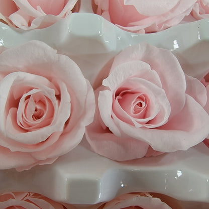Preserved Roses - Natural Light Pink - For Prom, Christmas, Wedding - Dried Roses For Bouquet - Eternity Roses - Forever Roses - 21 Pack,