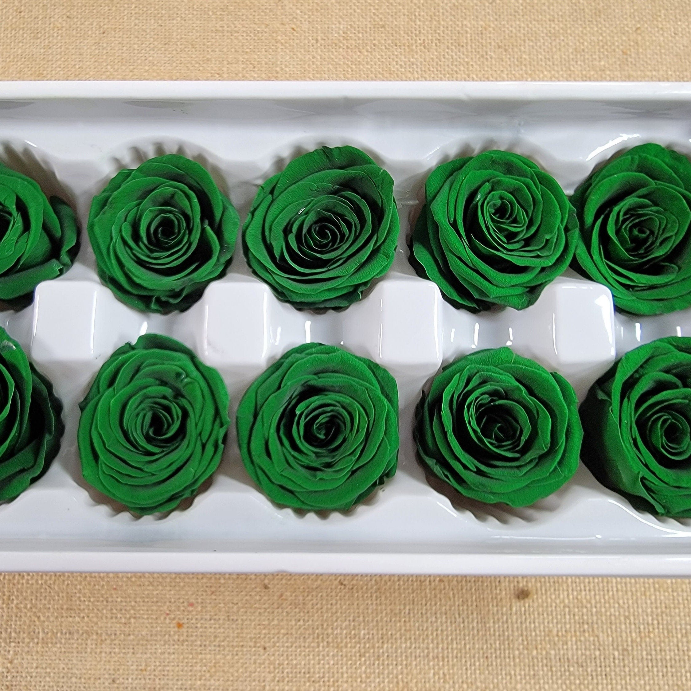 Olive Green Preserved Roses: Wedding & Prom Bouquet, 10 Pack