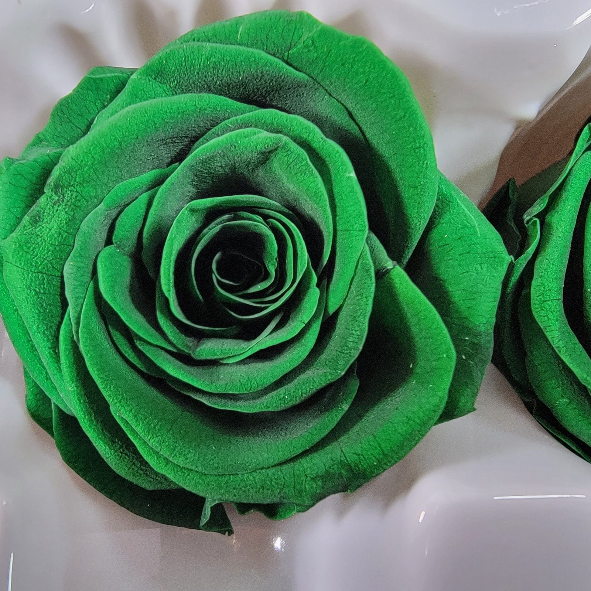 Olive Green Preserved Roses: Wedding & Prom Bouquet, 10 Pack