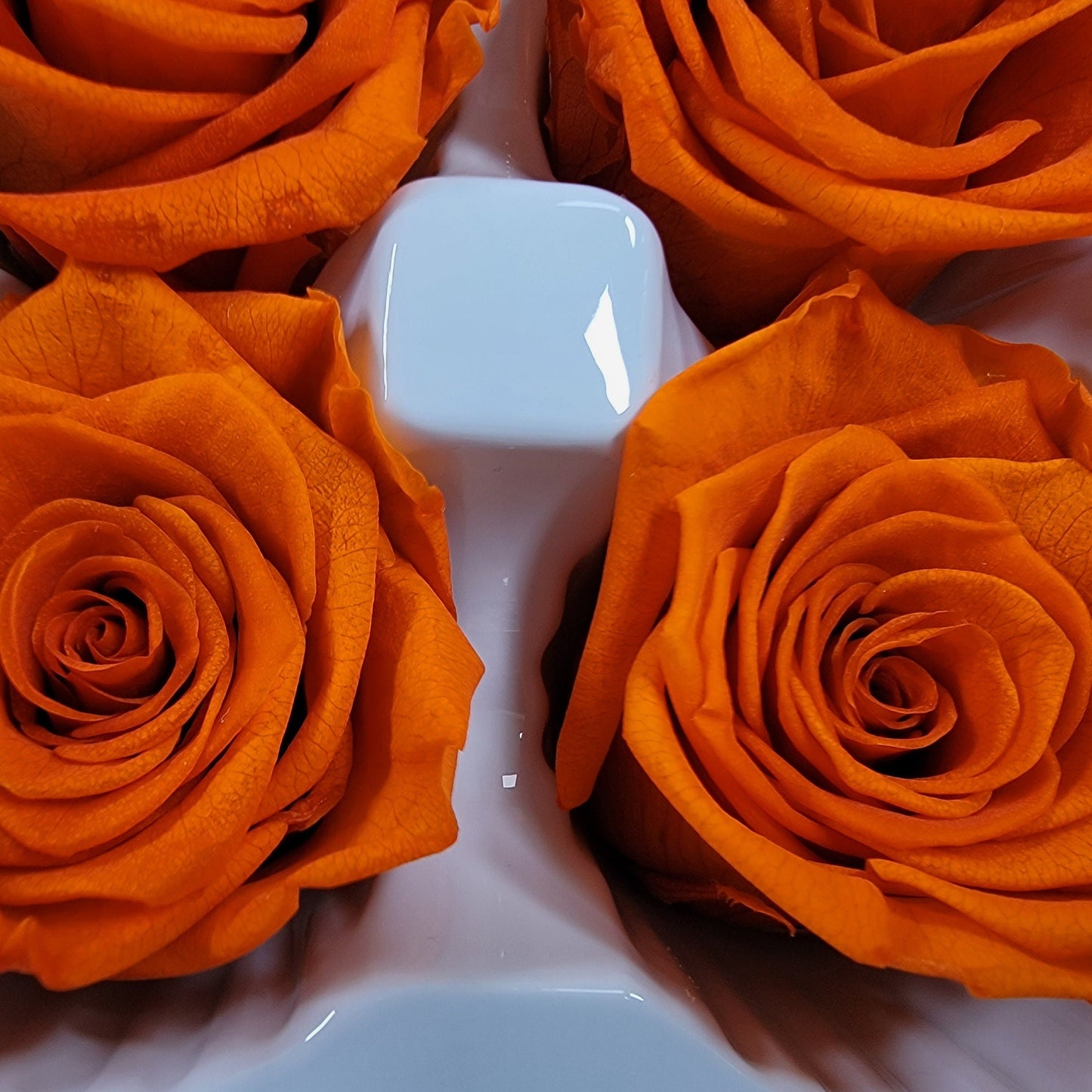8Pcs Preserved Orange Roses - Rose Heads - Halloween Decor - Dried Orange Roses - Fall Wedding Flowers - Faux Rose Bush