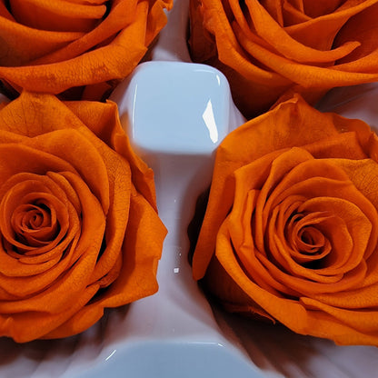 8Pcs Preserved Orange Roses - Rose Heads - Halloween Decor - Dried Orange Roses - Fall Wedding Flowers - Faux Rose Bush