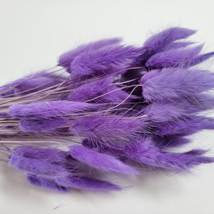 Purple Dried Bunny Tail Grass Stems: Boho Wedding Decor