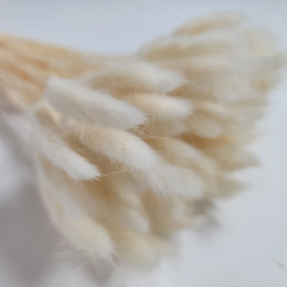 Purple Dried Bunny Tail Grass Stems: Boho Wedding Decor