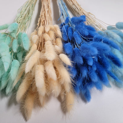 60 Stems Blue Dried Bunny Tail Grass: Boho Wedding Decor