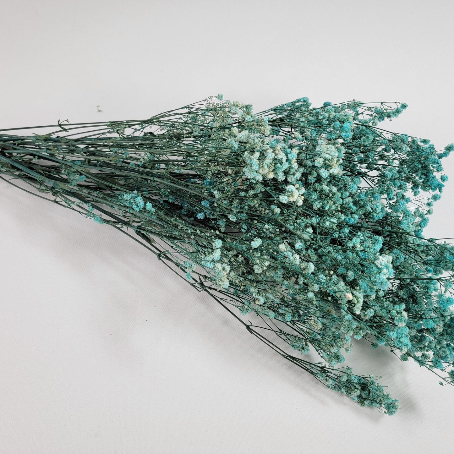 Light Blue Preserved Baby's Breath Bundle: Natural Gypsophilia