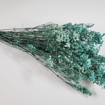 Light Blue Preserved Baby's Breath Bundle: Natural Gypsophilia