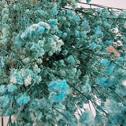 Light Blue Preserved Baby's Breath Bundle: Natural Gypsophilia