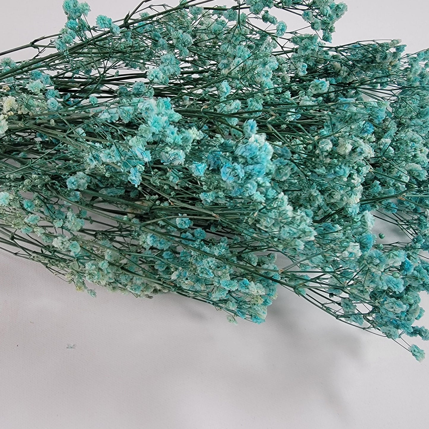 Light Blue Preserved Baby's Breath Bundle: Natural Gypsophilia