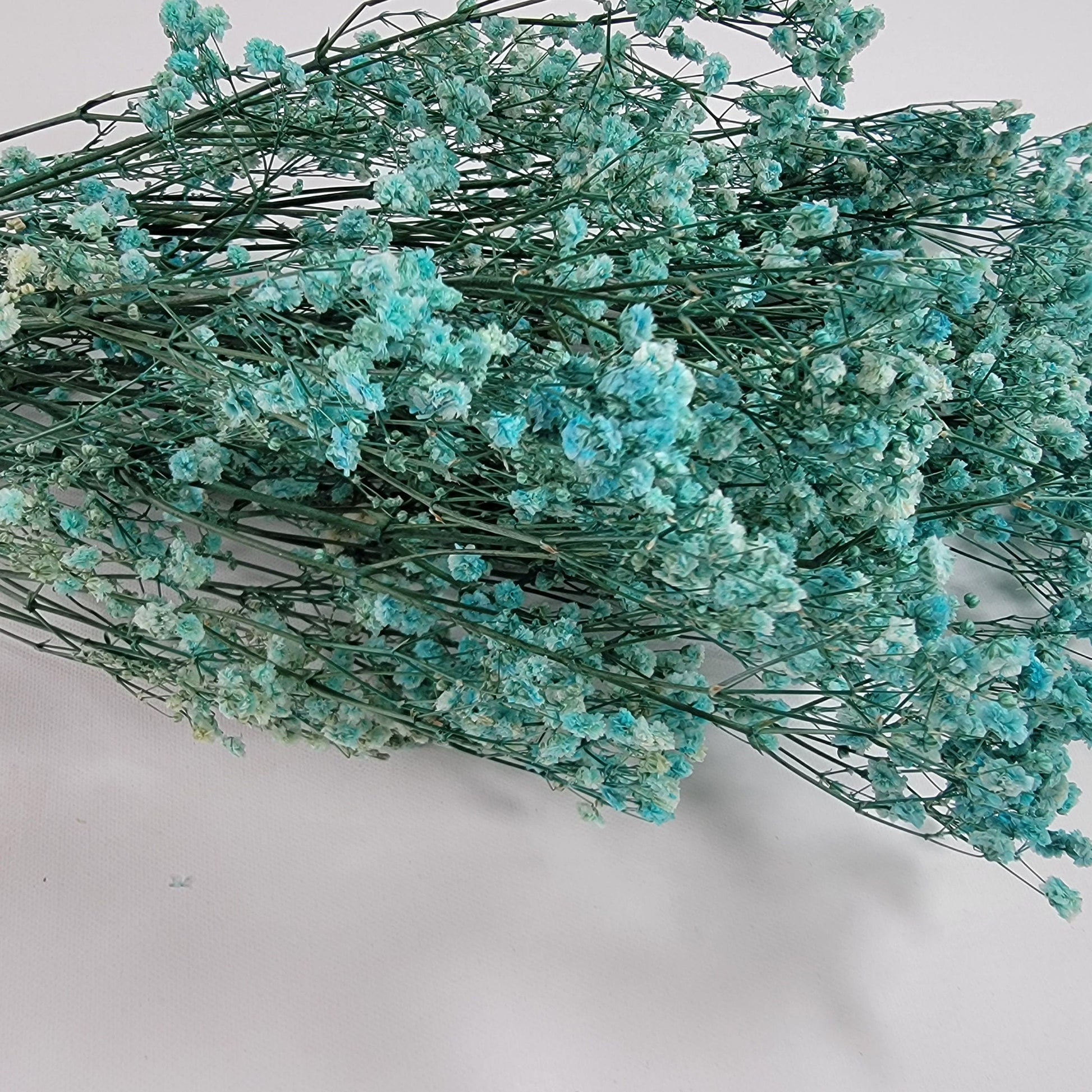 Light Blue Preserved Baby's Breath Bundle: Natural Gypsophilia
