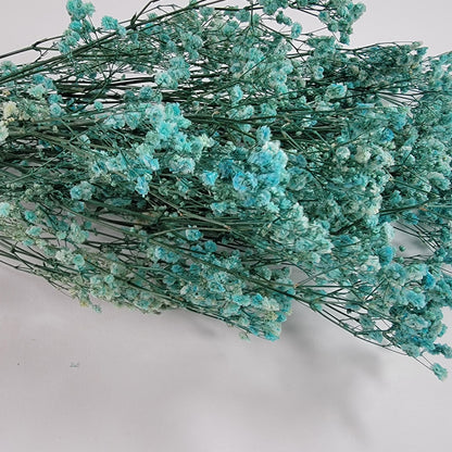 Light Blue Preserved Baby's Breath Bundle: Natural Gypsophilia