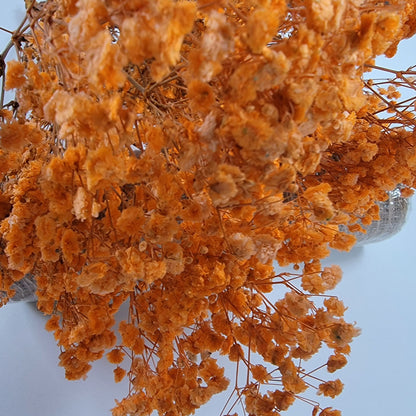 Orange Preserved Baby's Breath Bundle: Natural Gypsophila, Dried Flowers