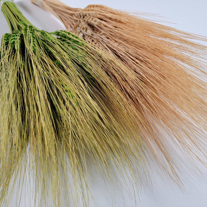 Dried Bearded Wheat Stalks: 20" Fall Wedding Floral Decor