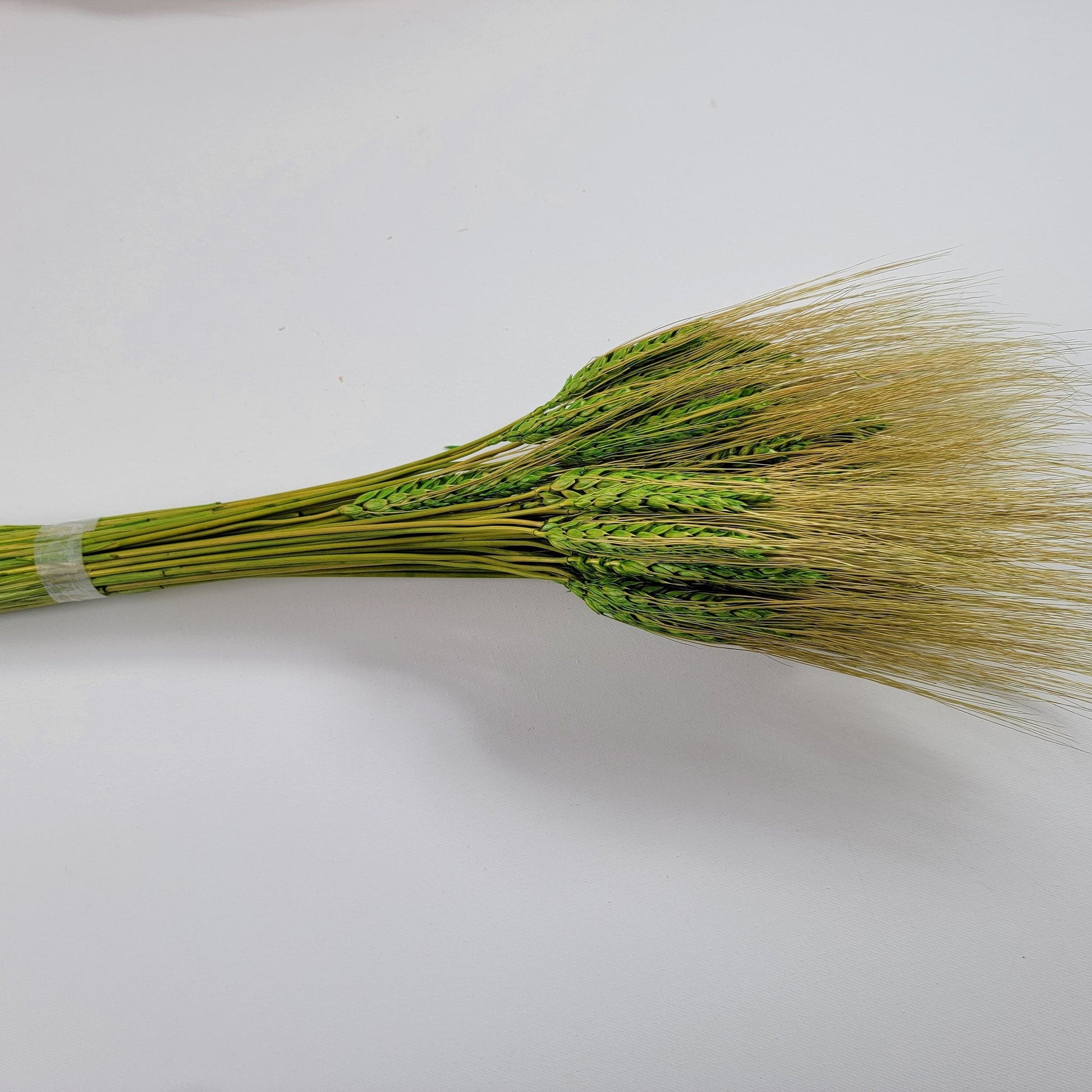 Dried Bearded Wheat Stalks: 20" Fall Wedding Floral Decor