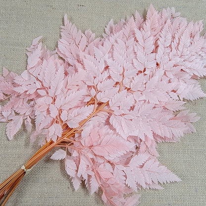 Preserved Pink Fern Stems: Soft Leather Leaf Floral Decor