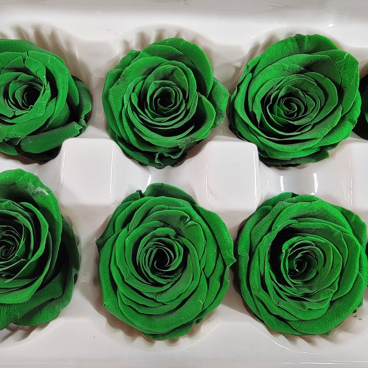 Olive Green Preserved Roses: Wedding & Prom Bouquet, 10 Pack