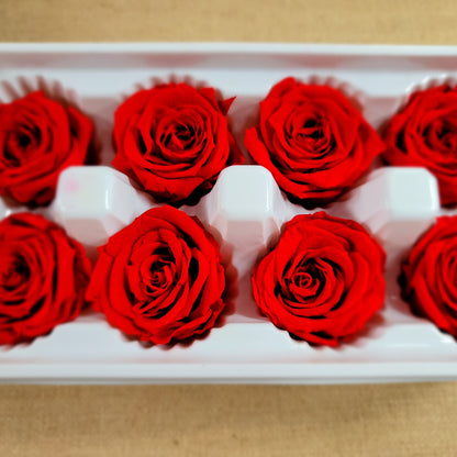 8 Red Preserved Roses: Wedding & DIY Floral Decor