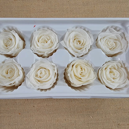 8 white preserved roses wedding rose, Floral arrangements, boutonniere, preserved flowers, wedding decor 10oz - 2.5" Inches