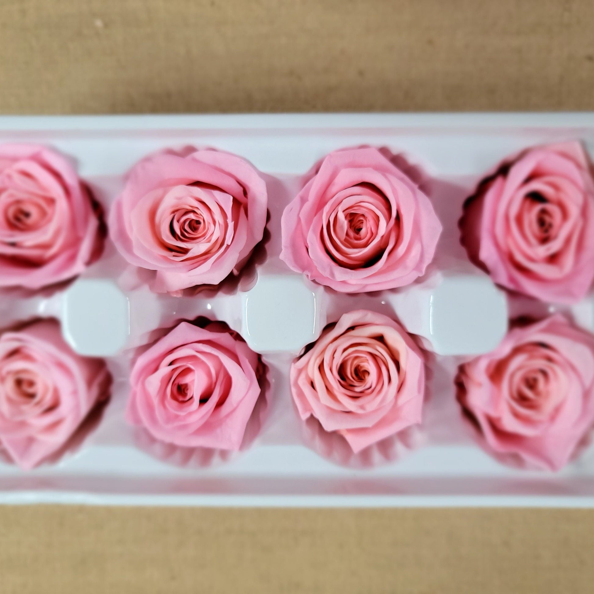 8 Deep Peach Preserved Roses: Wedding & Prom Decor