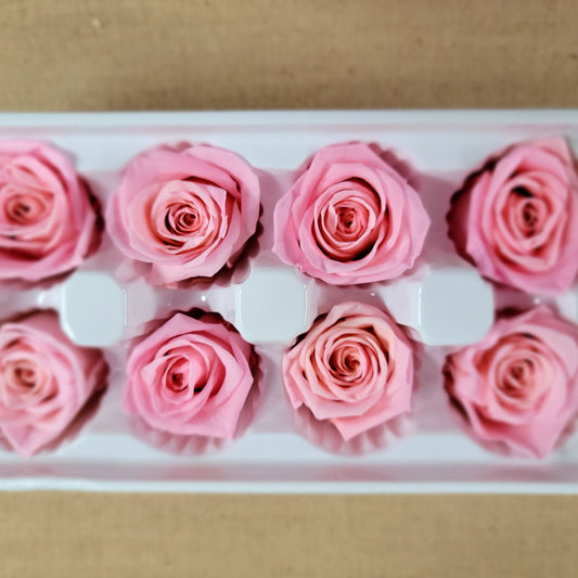 8 Deep Peach Preserved Roses: Wedding & Prom Decor