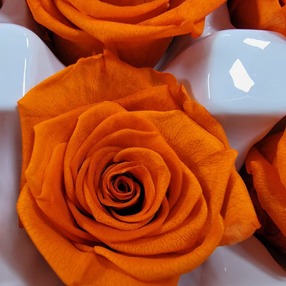 8Pcs Preserved Orange Roses - Rose Heads - Halloween Decor - Dried Orange Roses - Fall Wedding Flowers - Faux Rose Bush