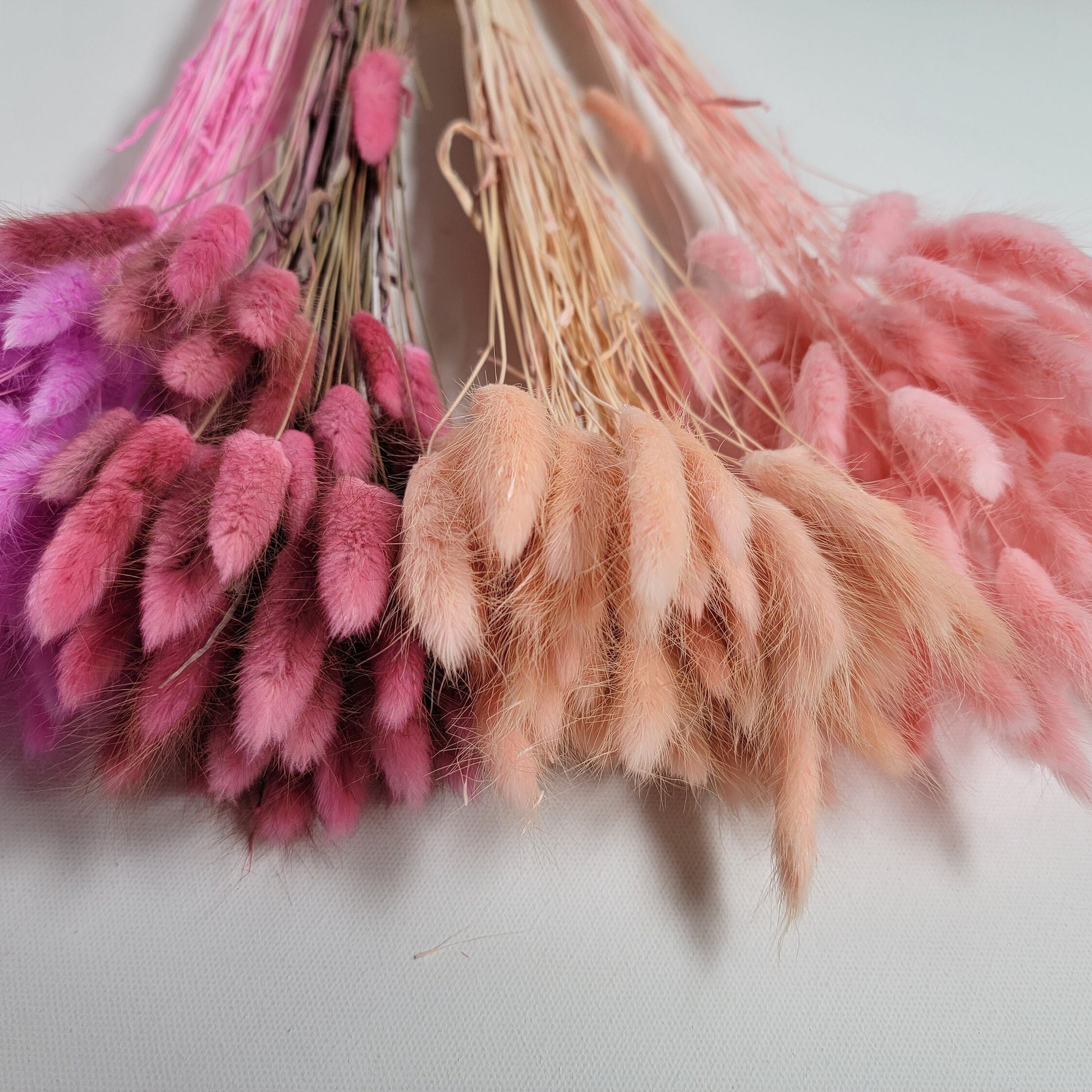 Pink Dried Bunny Tail Grass Stems: Boho Wedding Decor (60 stems, 19" long)
