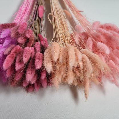 Pink Dried Bunny Tail Grass Stems: Boho Wedding Decor (60 stems, 19" long)